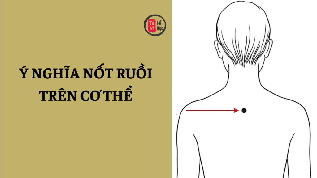 Ý nghĩa nốt ruồi đặc trưng trên cơ thể | Tử Vi Cổ Học