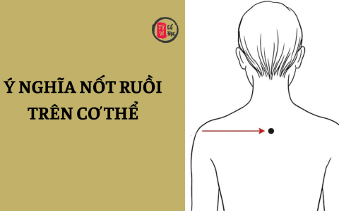 Ý nghĩa nốt ruồi đặc trưng trên cơ thể 7 Ý nghĩa nốt ruồi đặc trưng trên cơ thể
