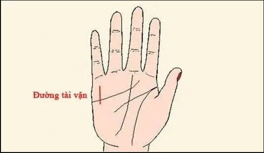9 đường vân tay báo hiệu tài lộc dồi dào, cuộc sống giàu sang 3 z8006720659246 19fc3e2a8d993566e344891c5270d976