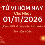 Tử vi hôm nay Chủ Nhật ngày 01/11/2026 - 12 con giáp chi tiết nhất 14 12 con giap 01 11 2026 c36b0404c6f9