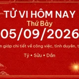Tử vi hôm nay Thứ Bảy ngày 05/09/2026 - 12 con giáp chi tiết nhất 14 12 con giap 05 09 2026 c2f8cd9dfbd8