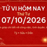 Tử vi hôm nay Thứ Tư ngày 07/10/2026 - 12 con giáp chi tiết nhất 14 12 con giap 07 10 2026 af11b5ad9ecb