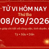 Tử vi hôm nay Thứ Ba ngày 08/09/2026 - 12 con giáp chi tiết nhất 2 12 con giap 08 09 2026 c1cb48ea9c80