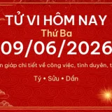 Tử vi hôm nay Thứ Ba ngày 09/06/2026 - 12 con giáp chi tiết nhất 14 12 con giap 09 06 2026 4a19f6c6db5e