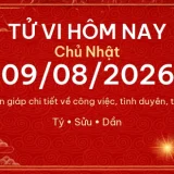 Tử vi hôm nay Chủ Nhật ngày 09/08/2026 - 12 con giáp chi tiết nhất 2 12 con giap 09 08 2026 689b799e51ca