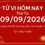Tử vi hôm nay Thứ Tư ngày 09/09/2026 - 12 con giáp chi tiết nhất 2 12 con giap 09 09 2026 690cb47cc6fb