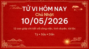Tử vi hôm nay Chủ Nhật ngày 10/05/2026 – 12 con giáp chi tiết nhất