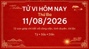 Tử vi hôm nay Thứ Ba ngày 11/08/2026 – 12 con giáp chi tiết nhất