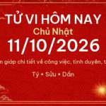 Tử vi hôm nay Chủ Nhật ngày 11/10/2026 – 12 con giáp chi tiết nhất