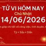 Tử vi hôm nay Chủ Nhật ngày 14/06/2026 - 12 con giáp chi tiết nhất 14 12 con giap 14 06 2026 73458c878e80