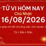 Tử vi hôm nay Chủ Nhật ngày 16/08/2026 - 12 con giáp chi tiết nhất 2 12 con giap 16 08 2026 8097f115eb92