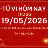 12 con giap 19 05 2026 0a9eb521c6f9