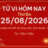 Tử vi hôm nay Thứ Ba ngày 25/08/2026 - 12 con giáp chi tiết nhất 3 12 con giap 25 08 2026 e103287e4551