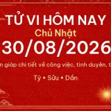 Tử vi hôm nay Chủ Nhật ngày 30/08/2026 - 12 con giáp chi tiết nhất 2 12 con giap 30 08 2026 ee6f7242be16