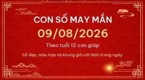 Trang chủ 85 Con số may mắn hôm nay 09/08/2026 theo tuổi