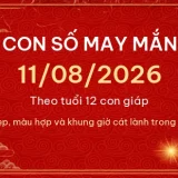 Con số may mắn hôm nay 11/08/2026 theo tuổi 13 con so may man 11 08 2026 4a58134d2452