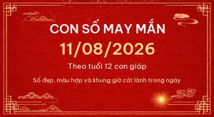 Con số may mắn hôm nay 11/08/2026 theo tuổi