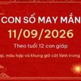 con so may man 11 09 2026 736860f5b5fb