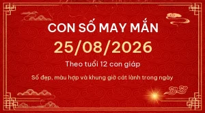 Con số may mắn hôm nay 25/08/2026 theo tuổi